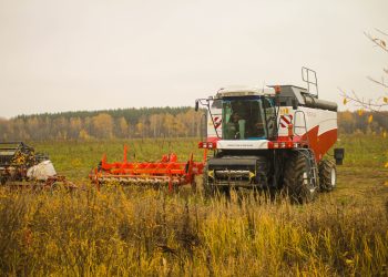 Алтайский край будет развивать сельское хозяйство совместно с Белоруссией