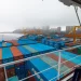 В России запустили мультимодальные перевозки в рамках эксперимента по созданию НЦТЛП «ГосЛог»