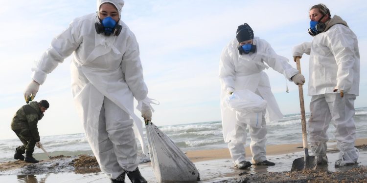 В Сириусе начали тестировать технологию бактериальной очистки воды и почвы от нефти 
