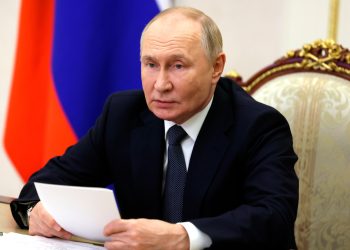 Путин поручил правительству обеспечить ускоренное развитие беспилотной авиации