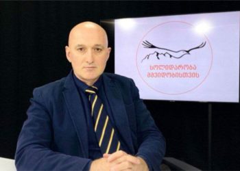 Темур Пипия: Позиция Грузии по отношению к России остаётся неопределённой