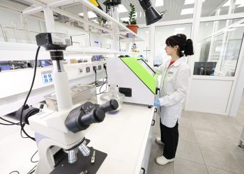 Волгоградская область увеличила производство импортозамещающей продукции на 6% в 2024 году