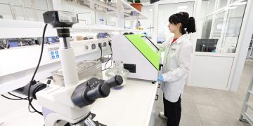 Волгоградская область увеличила производство импортозамещающей продукции на 6% в 2024 году
