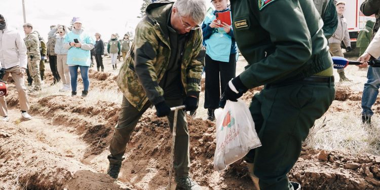 Восстановление леса и память о войне объединили участников международной акции в Бурятии