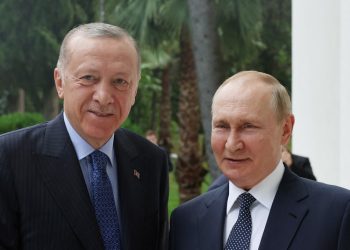 Путин и Эрдоган согласовали организацию прямых переговоров России и Украины в Стамбуле
