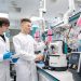 От инъекций к таблеткам — новая российская разработка для диабетиков и пациентов с ожирением