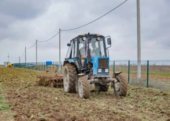 В Севастополе появится комплекс для производства саженцев