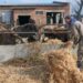 Маркировка довела малых производителей до закрытия и ухода в тень