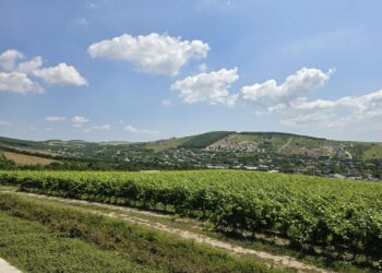 Власти Кубани закрепили механизм охраны ценных угодий