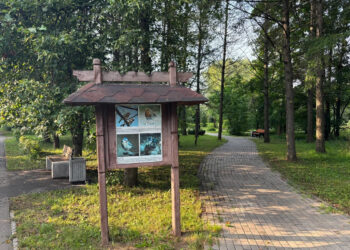 Для 13 зелёных зон Москвы разработаны сценарии устойчивого развития