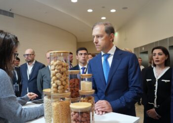 Мантуров назвал главное ограничение биоэкономики